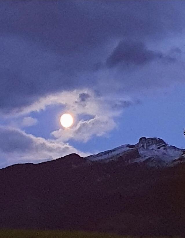 Garni Salvanel Cavalese