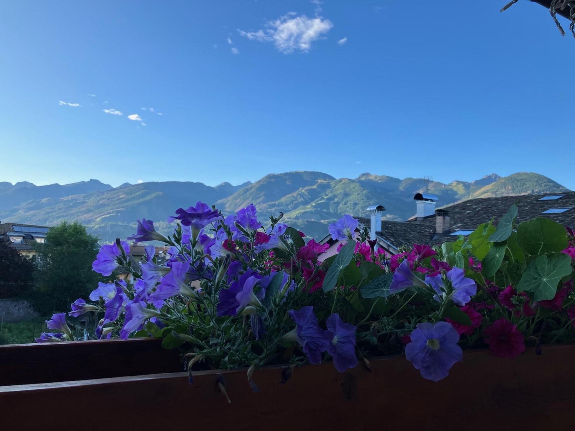 Hotel Garni Salvanel Cavalese