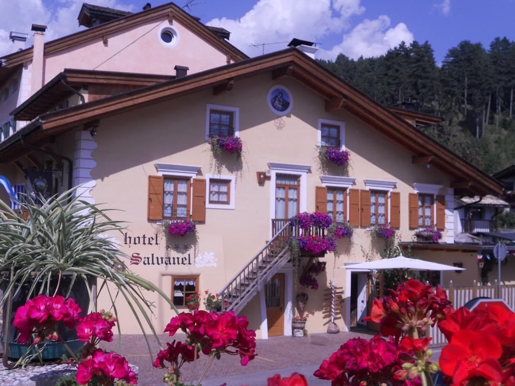 Hotel Garni Salvanel 3*