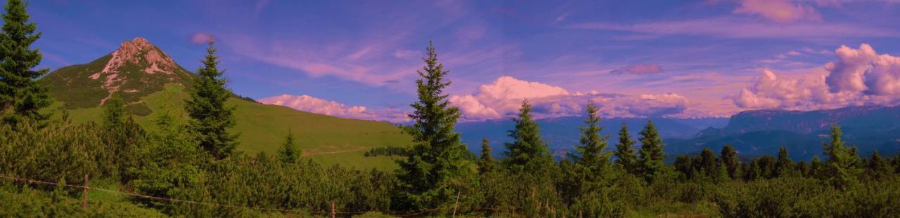 Garni Salvanel 3* Cavalese